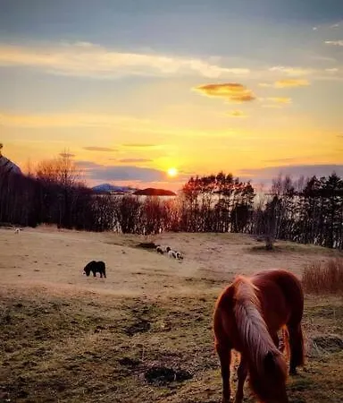 Cosy Farmhouse With Fjord View * Molde